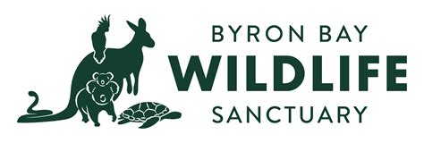 byron bay wildlife sanctuary|The Byron Bay Wildlife Sanctuary .
